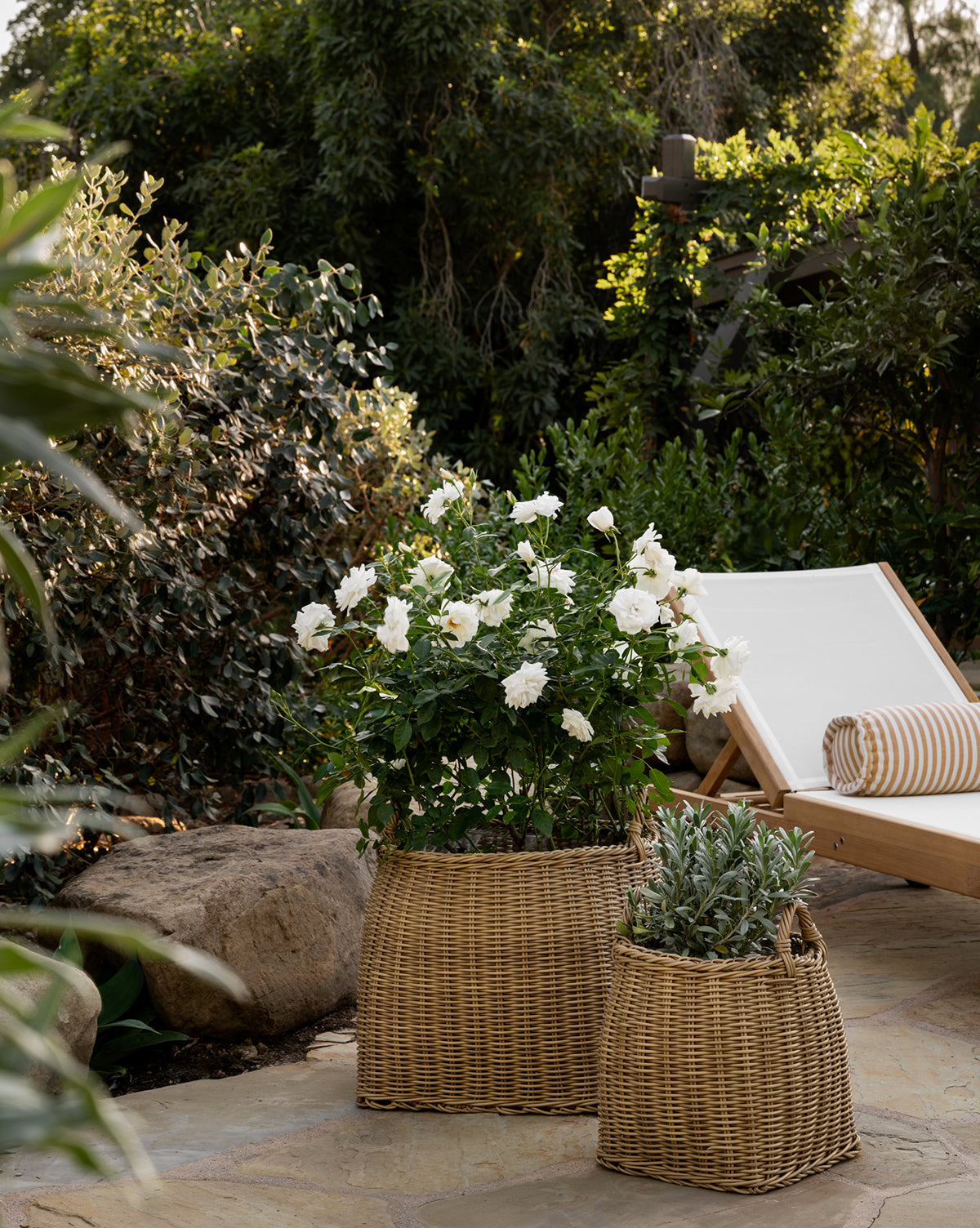 A sunlit patio with a white lounge chair and striped pillow is accented by two Lightwash Handled Planter Baskets filled with blooming white flowers and greenery, surrounded by lush indoor plants and large rocks, by McGee & Co.