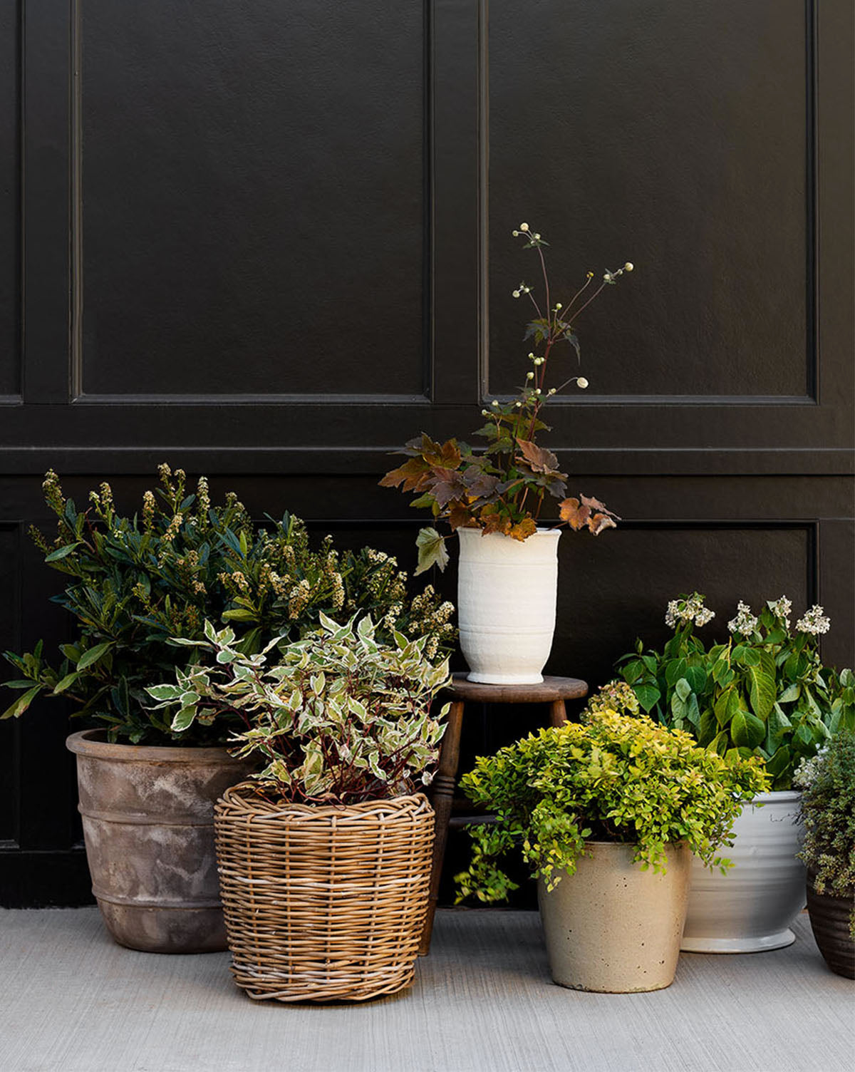 Textured Ceramic Vase