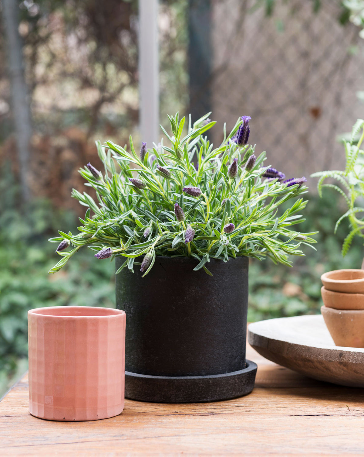Oma Pot